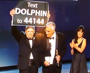 textdolphin.jpg