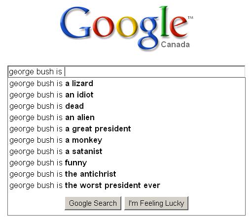 googlebush.JPG